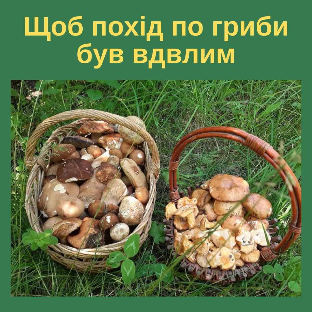 Фотографія